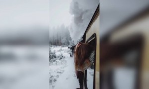 প্রকৃতির রূপ রং