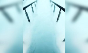 নাইস প্লেস ।