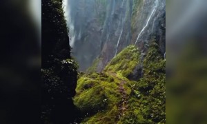 ঝর্ণা দেখতে ভালোবাসেনা এমন লোক হয়তো কম আছে পৃথিবীতে ,এক মন মুগ্ধকরা ঝর্ণার ভিডিও ।