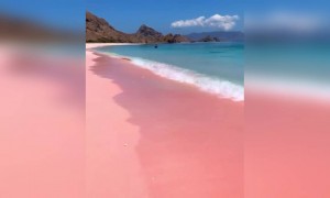 সমুদ্র তীরে সময় কাটাতে ভালোবাসেনা এমন মানুষ হয়তো খুব কম আছে ,এমনি এক ভালোলাগা ভিডিও দেখুন ।