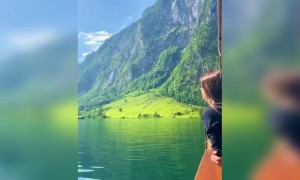 সবুজে সুন্দর প্রকৃতি ।