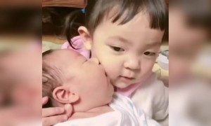 আদরে ভরিয়ে দিলো দিদিকে