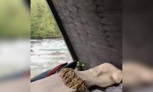 উপভোগ করুন প্রকৃতির সৌন্দর্য্যকে ।