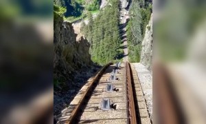 ওয়াও ! খুবই সুন্দর দৃশ্য ।