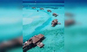 ভিডিওটি দেখলে আপনার মনও যেতে চাইবে সেইখানে ।