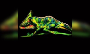 অসাধারন আর্ট এর ভিডিও ।