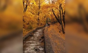 সময় কাটানোর আদর্শ জায়গা ।