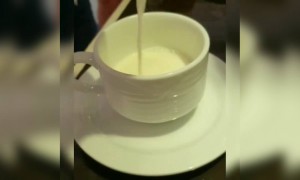 সকালের শুরুটা যদি হয় এক কাপ কফির সাথে ।