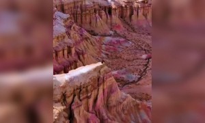 বিস্মিত সৌন্দর্য্য হয়তো একেই বলে ।