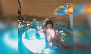 দারুন একটি বেবি ভিডিও মিস না করে দেখুন ।