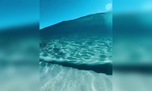 সমুদ্র সৈকত ।