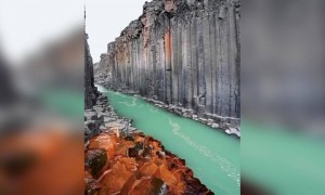 বইছে নদী ।