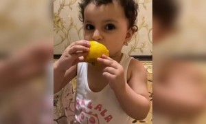 টক খেয়ে মিষ্টি খুদের মুখ -ভঙ্গী দেখুন ।