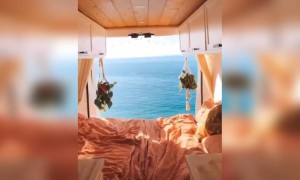 এক মনোরম দৃশ্য ভালোলাগবে আপনারও ।