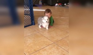 খুঁনসুটির ভিডিও ।