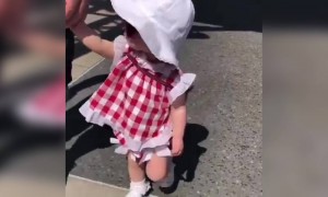 কিউট বেবীর  ভিডিও দেখুন ।