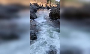 আঁকাবাঁকা নদী