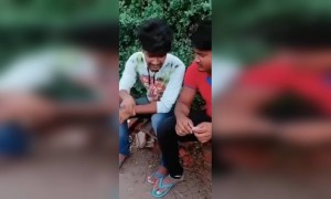 লুডো খেলতে গিয়ে বউএর পাকা গুটি খেয়ে নেওয়ায় বরের কী হলো দেখুন।