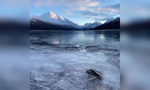 ওয়াও ! অসাধারণ একটি ভিডিও মিস না করে দেখুন ।