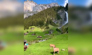 প্রকৃতির সৌন্দর্য্যে ভরা জায়গাটি ।