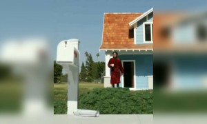 দেখলে অবাক হবেন ।