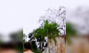 দুঃসাহসিক ভিডিও ।