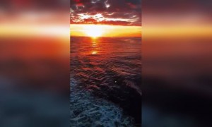 সূর্যাস্থের বিকেল ।