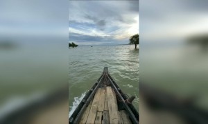 হারিয়ে যান প্রকৃতির মাঝে ।