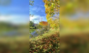 অসাধারণ সুন্দর প্রাকৃতিক সৌন্দর্যের ভিডিও ।