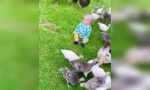 কি মিষ্টি বেবী দেখুন ।