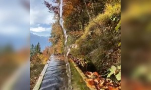 অবাক করা প্রকৃতির রূপ ।