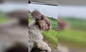 উপভোগ করুন প্রকৃতির সৌন্দর্য্যকে  ।