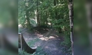 শুরু থেকে শেষ পর্যন্ত হাসিতে ভরা ভিডিও ।