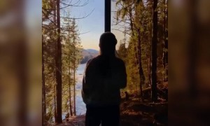 নদীর ভিডিও