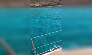 সুন্দর একটি জায়গা ।