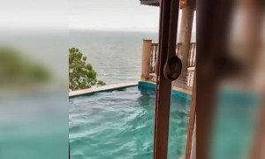 অসাধারণ সুন্দর একটি দৃশ্য ।