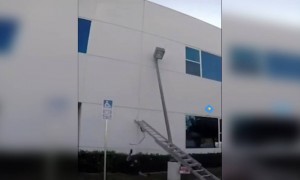 ফানি ভিডিও ।