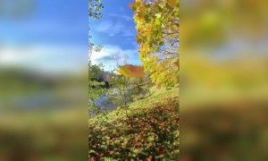 অতি সুন্দর দৃশ্য ।