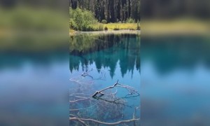 নীল-সবুজ প্রকৃতি