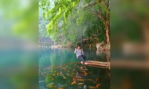 ঝুলতে কার না ভালোলাগে ......তাও  যদি হয় নদীর পার ।এমনিই এক ভালোলাগা ভিডিও উপভোগ করুন ।