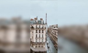 নাইস প্লেস ।