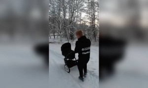 ভিডিও দেখুন  আর হাসতে থাকুন ।