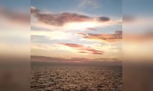 সমুদ্রের ভিডিও