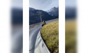 উপভোগ করুন প্রকৃতির রূপকে এই ভিডিওটিতে ।