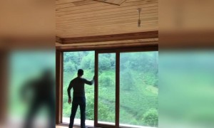 বিউটিফুল প্রকৃতি ।