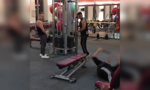 হাসতে হাসতে পেট ব্যথা হয়ে যাবে ।