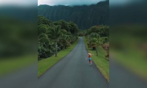 সবুজে সবুজ বনানী