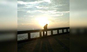 সূর্যাস্ত দেখুন ।