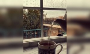 সকালের শুরু এককাপ চা দিয়ে ।