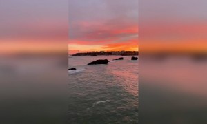 মনোরম প্রকৃতির রূপ ।